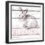 Rabbit Blessing-Andi Metz-Framed Art Print