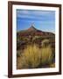 Rabbit Brush and Blackburn on Flats Below North Six-Shooter Peak, Canyonlands National Park, Utah-Scott T. Smith-Framed Photographic Print