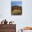 Rabbit Brush and Blackburn on Flats Below North Six-Shooter Peak, Canyonlands National Park, Utah-Scott T. Smith-Photographic Print displayed on a wall