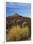 Rabbit Brush and Blackburn on Flats Below North Six-Shooter Peak, Canyonlands National Park, Utah-Scott T. Smith-Framed Photographic Print