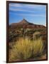 Rabbit Brush and Blackburn on Flats Below North Six-Shooter Peak, Canyonlands National Park, Utah-Scott T. Smith-Framed Photographic Print