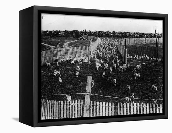 Rabbit Drive in New South Wales-null-Framed Stretched Canvas