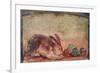 Rabbit Easting Figs, C. 45-79-null-Framed Premium Giclee Print