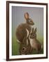 Rabbit Family, 2016-Pat Scott-Framed Giclee Print