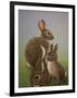 Rabbit Family, 2016-Pat Scott-Framed Giclee Print
