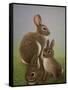 Rabbit Family, 2016-Pat Scott-Framed Stretched Canvas