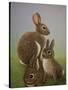 Rabbit Family, 2016-Pat Scott-Stretched Canvas