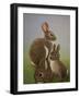 Rabbit Family, 2016-Pat Scott-Framed Giclee Print