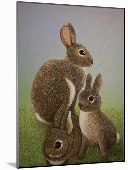 Rabbit Family, 2016-Pat Scott-Mounted Giclee Print