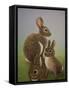 Rabbit Family, 2016-Pat Scott-Framed Stretched Canvas