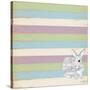 Rabbit Grey-Tammy Kushnir-Stretched Canvas