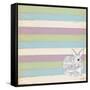 Rabbit Grey-Tammy Kushnir-Framed Stretched Canvas