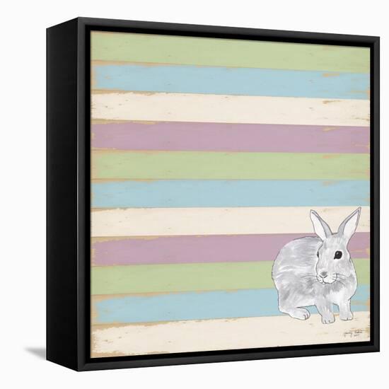 Rabbit Grey-Tammy Kushnir-Framed Stretched Canvas