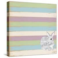 Rabbit Grey-Tammy Kushnir-Stretched Canvas