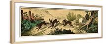Brown Frame