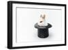 Rabbit in a Hat Isolated on a White Background-Vadym Drobot-Framed Photographic Print