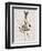 Rabbit in Black White Dress-Fab Funky-Framed Art Print