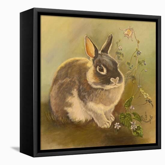 Rabbit in Columbine-Judy Mastrangelo-Framed Stretched Canvas