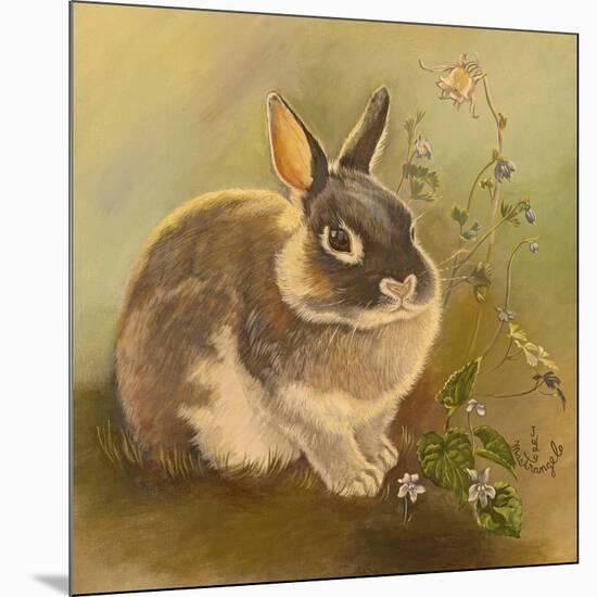 Rabbit in Columbine-Judy Mastrangelo-Mounted Giclee Print