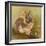 Rabbit in Columbine-Judy Mastrangelo-Framed Giclee Print