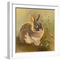 Rabbit in Columbine-Judy Mastrangelo-Framed Giclee Print