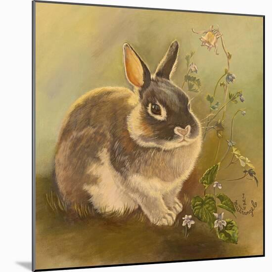 Rabbit in Columbine-Judy Mastrangelo-Mounted Giclee Print