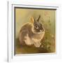 Rabbit in Columbine-Judy Mastrangelo-Framed Giclee Print