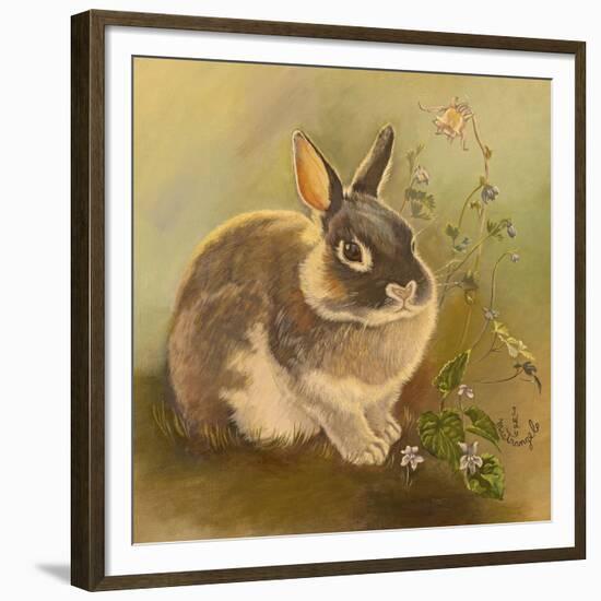 Rabbit in Columbine-Judy Mastrangelo-Framed Giclee Print