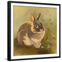 Rabbit in Columbine-Judy Mastrangelo-Framed Giclee Print