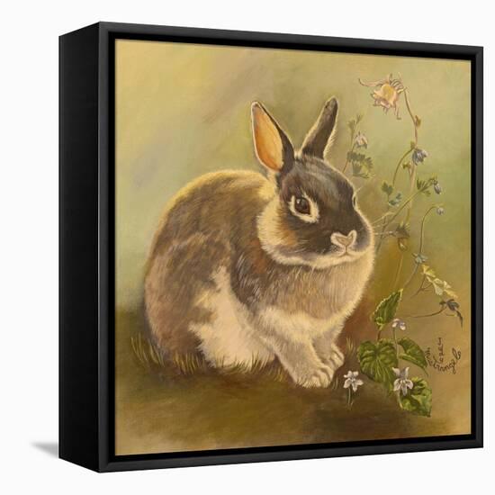 Rabbit in Columbine-Judy Mastrangelo-Framed Stretched Canvas