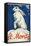 Rabbit in Snow, St. Moritz-null-Framed Stretched Canvas