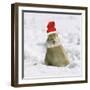 Rabbit in Snow Wearing Christmas Hat-null-Framed Photographic Print