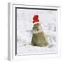 Rabbit in Snow Wearing Christmas Hat-null-Framed Photographic Print