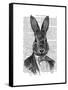 Rabbit in Suit Portrait-Fab Funky-Framed Stretched Canvas