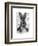 Rabbit in Suit Portrait-Fab Funky-Framed Art Print