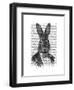 Rabbit in Suit Portrait-Fab Funky-Framed Art Print