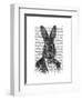 Rabbit in Suit Portrait-Fab Funky-Framed Art Print