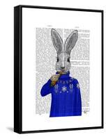 Rabbit in Sweater-Fab Funky-Framed Stretched Canvas