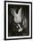 Rabbit Magician BW-J Hovenstine Studios-Framed Giclee Print
