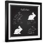 Rabbit Meat Cuts Scheme - Chalkboard-ONiONAstudio-Framed Art Print