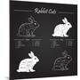 Rabbit Meat Cuts Scheme - Chalkboard-ONiONAstudio-Mounted Art Print