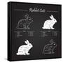 Rabbit Meat Cuts Scheme - Chalkboard-ONiONAstudio-Framed Stretched Canvas