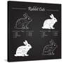 Rabbit Meat Cuts Scheme - Chalkboard-ONiONAstudio-Stretched Canvas