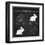 Rabbit Meat Cuts Scheme - Chalkboard-ONiONAstudio-Framed Art Print