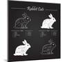 Rabbit Meat Cuts Scheme - Chalkboard-ONiONAstudio-Mounted Art Print