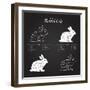 Rabbit Meat Cuts Scheme - Chalkboard-ONiONAstudio-Framed Art Print