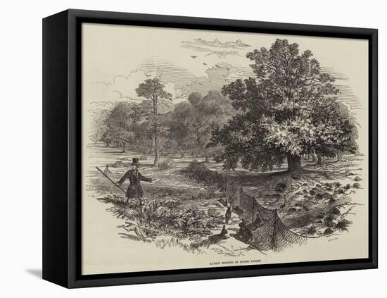 Rabbit Netting in Epping Forest-null-Framed Stretched Canvas