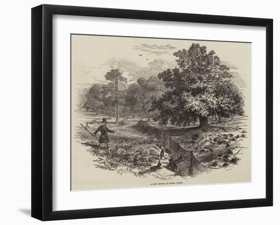 Rabbit Netting in Epping Forest-null-Framed Giclee Print