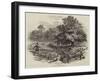 Rabbit Netting in Epping Forest-null-Framed Giclee Print