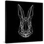 Rabbit on Black-Lisa Kroll-Stretched Canvas